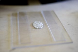 silver_01_094 silver_01_094